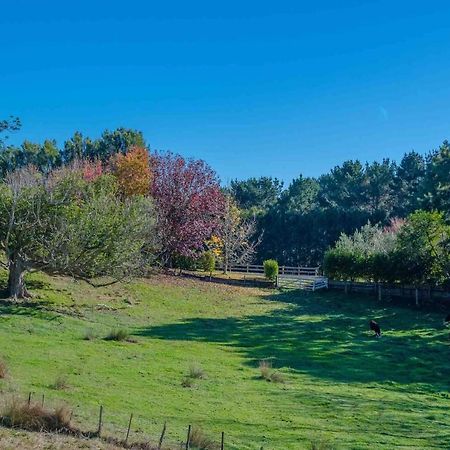 Cosy Lifestyle Cottage Perfect Getaway Pukekohe Exterior foto